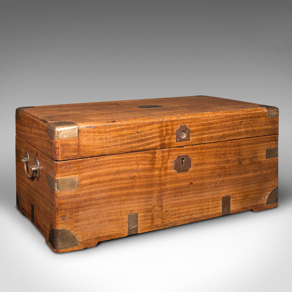 Antique Campaign Chest, English, Camphorwood Storage Box, Trunk, Victorian, 1850