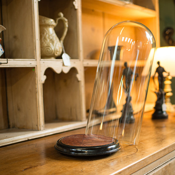 Tall Antique Specimen Dome, English, Glass, Taxidermy, Display Case, Victorian