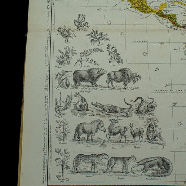 Antique World Atlas, French Language, Cartography, Reference Book, Victorian