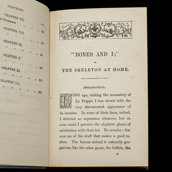 Antique Book, Bones and I, Whyte-Melville, English, Novel, Victorian, Circa 1880