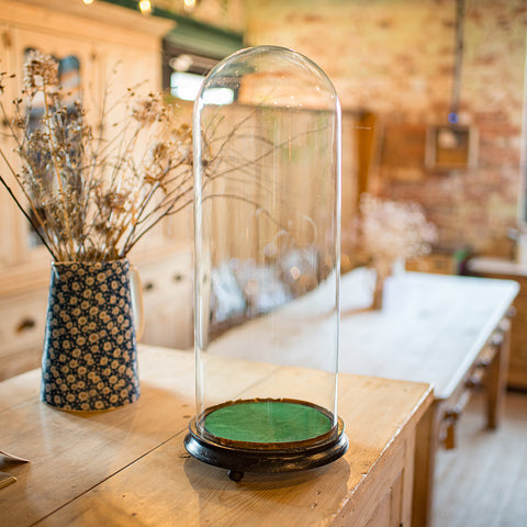 Tall Antique Taxidermy Dome, English, Glass, Pine, Display Case, Victorian, 1880