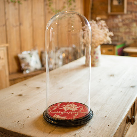 Tall Antique Collector's Dome, English, Glass, Ornament Showcase, Late Victorian