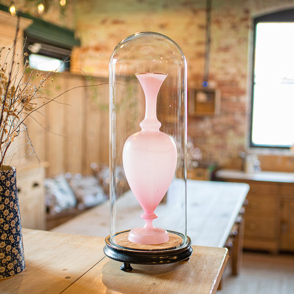 Tall Antique Display Showcase, English, Glass, Taxidermy, Dome, Victorian, 1850