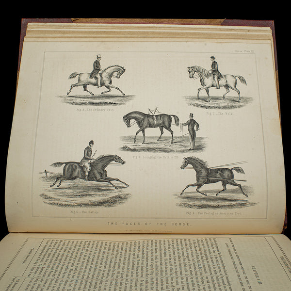 Antique Equestrian Reference Book, Modern Practical Farriery, English, Victorian