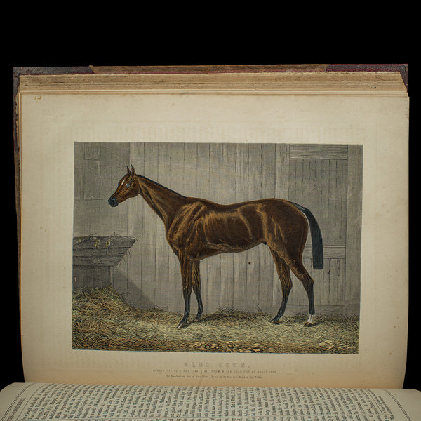 Antique Equestrian Reference Book, Modern Practical Farriery, English, Victorian