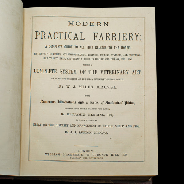 Antique Equestrian Reference Book, Modern Practical Farriery, English, Victorian