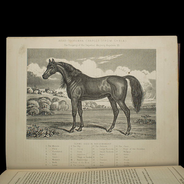 Antique Equestrian Reference Book, Modern Practical Farriery, English, Victorian