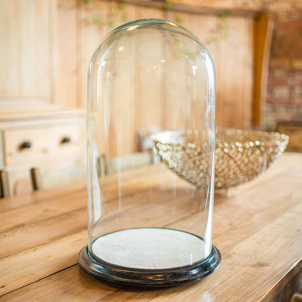 Wide Antique Taxidermy Dome, English, Glass Specimen Showcase, Victorian, C.1870