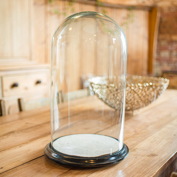 Wide Antique Taxidermy Dome, English, Glass Specimen Showcase, Victorian, C.1870