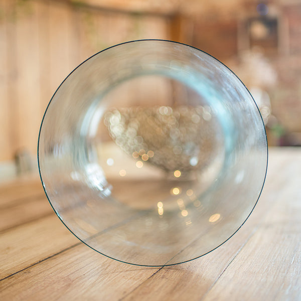 Wide Antique Taxidermy Dome, English, Glass Specimen Showcase, Victorian, C.1870