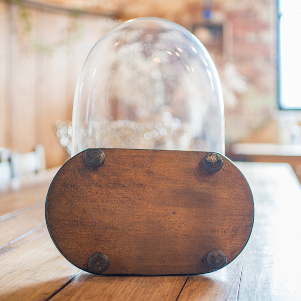 Antique Oval Collector's Dome, English, Glass Clock Case, Botany, Late Victorian