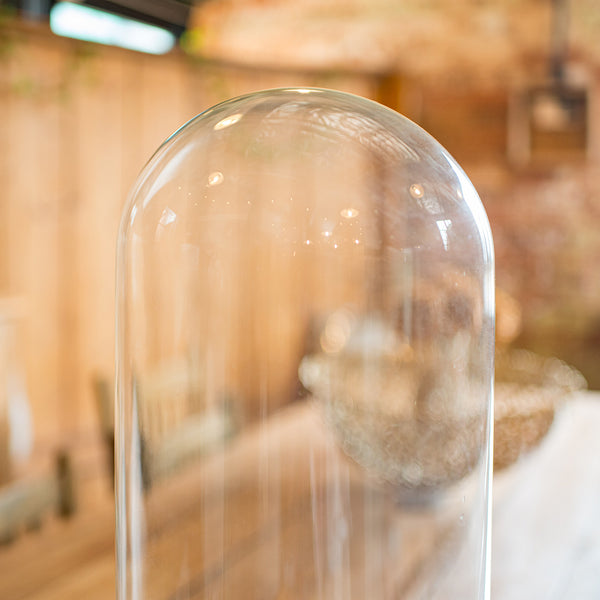 Large Antique Specimen Display Dome, English Taxidermy Showcase, Victorian, 1870