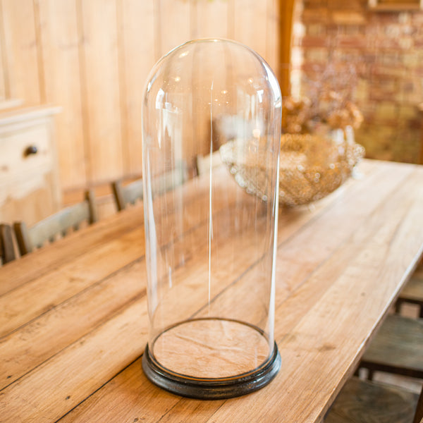 Tall Victorian Antique Taxidermy Specimen Dome, English Glass Display Case, 1870