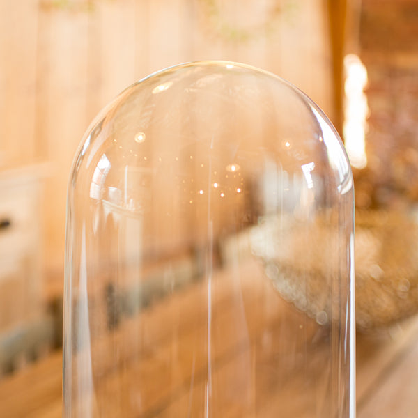 Tall Victorian Antique Taxidermy Specimen Dome, English Glass Display Case, 1870