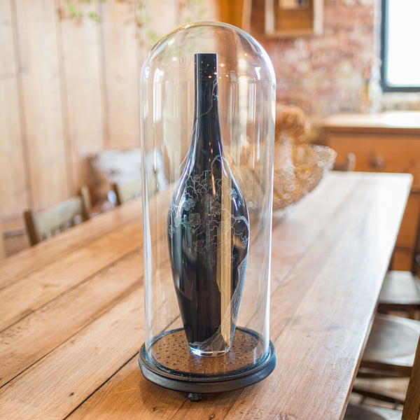 Antique Taxidermy Specimen Dome, English, Glass, Tall Showcase, Victorian, 1900