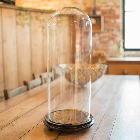 Antique Large Display Dome, English, Taxidermy, Specimen Showcase, Victorian