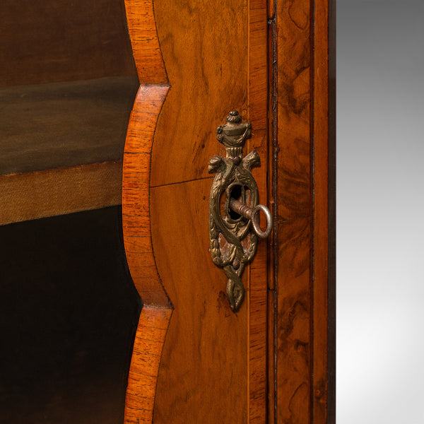 Large Antique Pier Cabinet, English, Walnut, Glazed, Druce & Co, Victorian, 1850