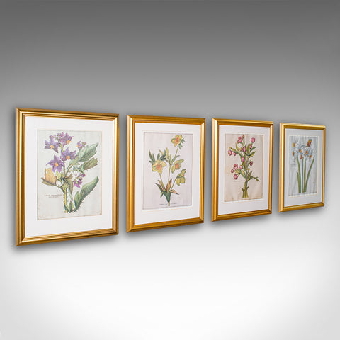 Set Of 4 Vintage Botanical Prints, English, Framed Engravings, Flower Art, Decor