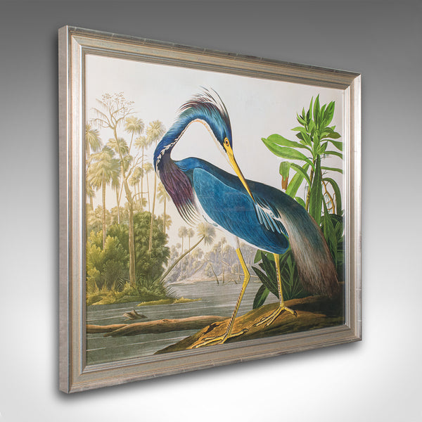 Vintage Wading Bird Print, English, Framed Nature Study, Wildlife Art, Heron