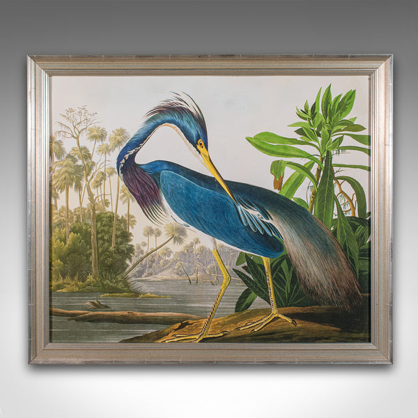 Vintage Wading Bird Print, English, Framed Nature Study, Wildlife Art, Heron