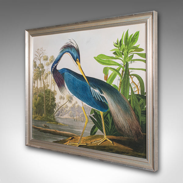 Vintage Wading Bird Print, English, Framed Nature Study, Wildlife Art, Heron