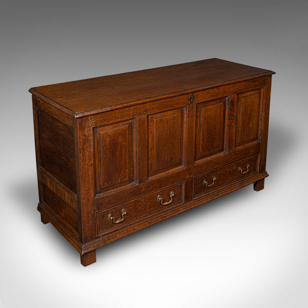 Antique 4 Panel Coffer, English, Oak, Linen, Mule Chest, Country House, Georgian