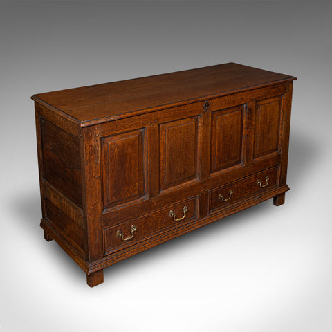 Antique 4 Panel Coffer, English, Oak, Linen, Mule Chest, Country House, Georgian