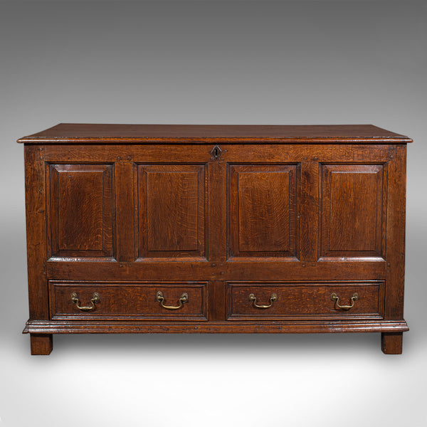 Antique 4 Panel Coffer, English, Oak, Linen, Mule Chest, Country House, Georgian