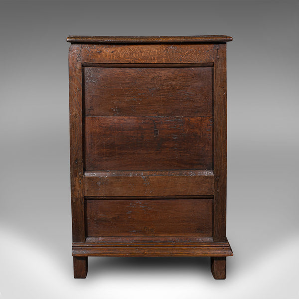 Antique 4 Panel Coffer, English, Oak, Linen, Mule Chest, Country House, Georgian