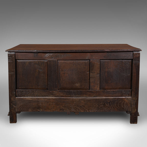 Antique 4 Panel Coffer, English, Oak, Linen, Mule Chest, Country House, Georgian