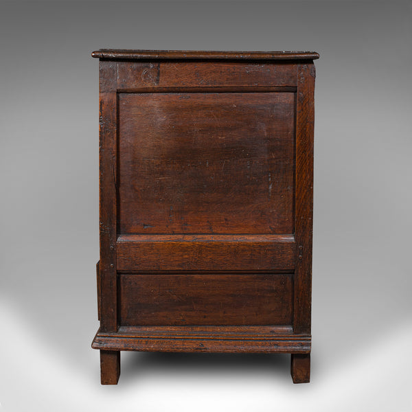 Antique 4 Panel Coffer, English, Oak, Linen, Mule Chest, Country House, Georgian