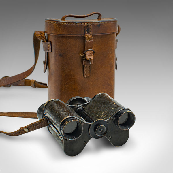 Antique Pair of Cased Binoculars, English, Brass, Optical Instrument, Victorian