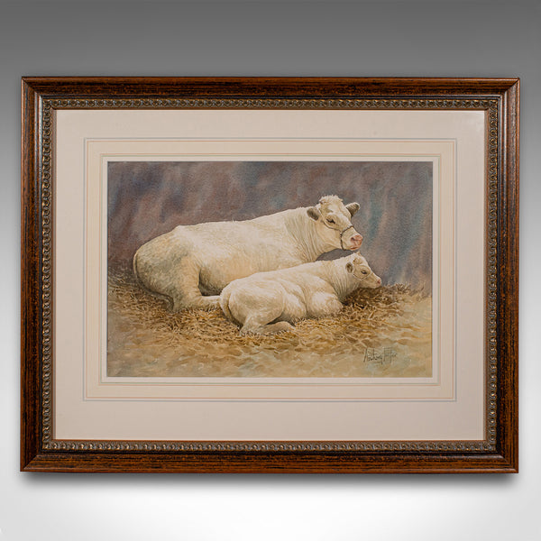 Vintage Livestock Watercolour, English, Art, Animal Painting, Farming, Picture