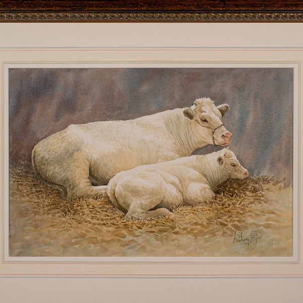 Vintage Livestock Watercolour, English, Art, Animal Painting, Farming, Picture