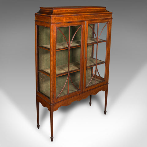 Antique China Display Cabinet, English Glazed Bookcase, Edwardian, Regency Taste