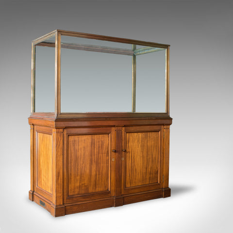 Antique Display Cabinet, English, Walnut, Bronze, Showcase, Museum, Circa 1900 - London Fine Antiques