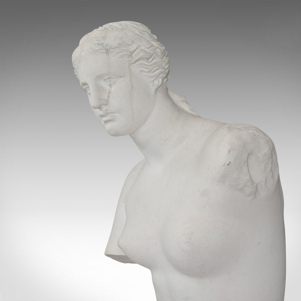 Large, Vintage Female Bust, English, Plaster, Venus De Milo, Classical Taste - London Fine Antiques