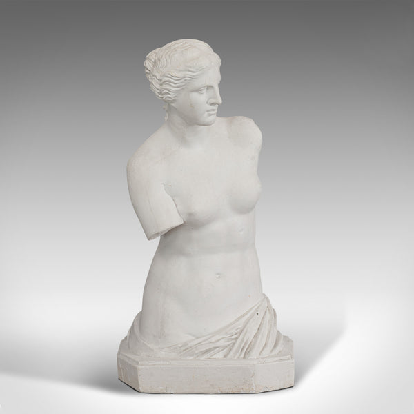 Large, Vintage Female Bust, English, Plaster, Venus De Milo, Classical Taste - London Fine Antiques