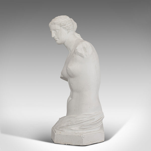 Large, Vintage Female Bust, English, Plaster, Venus De Milo, Classical Taste - London Fine Antiques