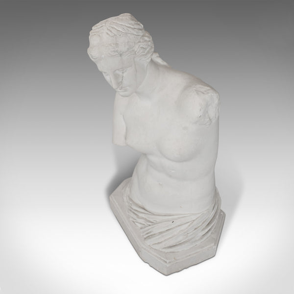 Large, Vintage Female Bust, English, Plaster, Venus De Milo, Classical Taste - London Fine Antiques