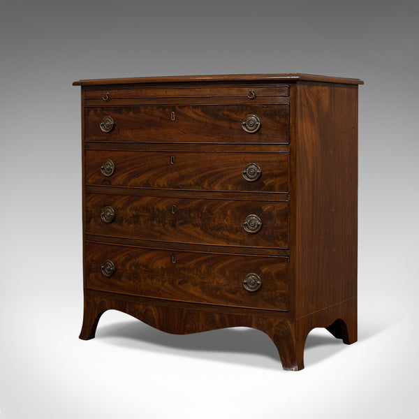 Antique Bow Front Chest of Drawers, English, Mahogany, Bachelor's Cabinet, 1890