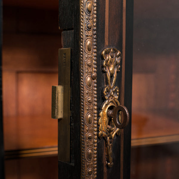 Tall Antique Vitrine Cabinet, English, Display Case, Bookcase, Regency, C.1830