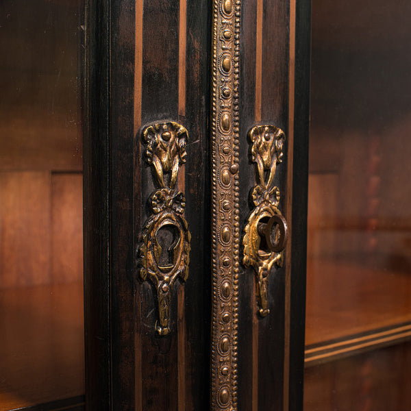 Tall Antique Vitrine Cabinet, English, Display Case, Bookcase, Regency, C.1830