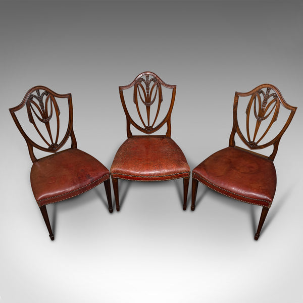 Set of 6, Antique Shield Back Chairs, Dining Seat, After Hepplewhite, Georgian