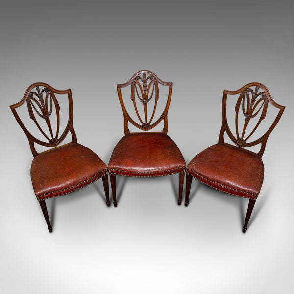 Set of 6, Antique Shield Back Chairs, Dining Seat, After Hepplewhite, Georgian