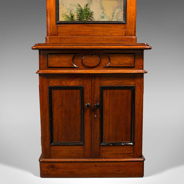 Tall Antique Bookcase Cabinet, English, Slim Display Case, Victorian, Circa 1860