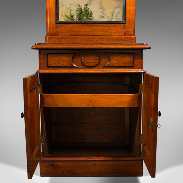 Tall Antique Bookcase Cabinet, English, Slim Display Case, Victorian, Circa 1860