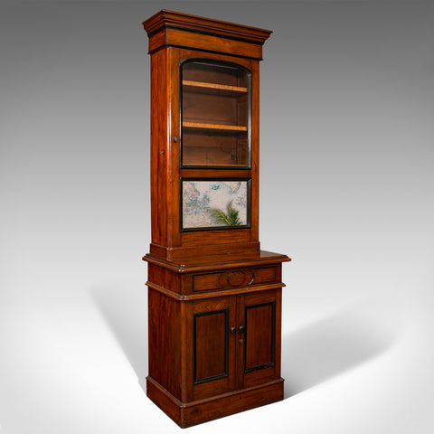 Tall Antique Bookcase Cabinet, English, Slim Display Case, Victorian, Circa 1860