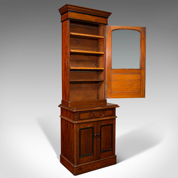 Tall Antique Bookcase Cabinet, English, Slim Display Case, Victorian, Circa 1860