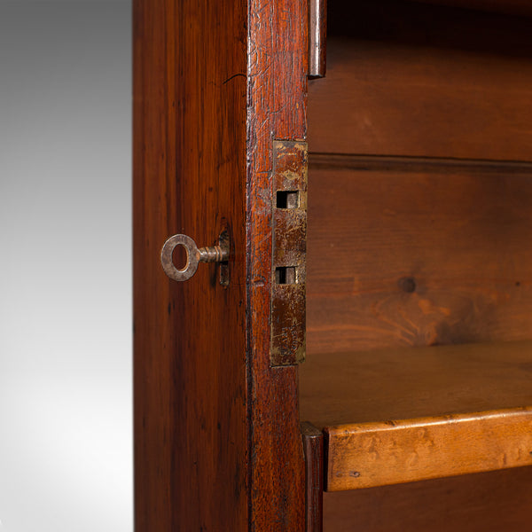 Tall Antique Bookcase Cabinet, English, Slim Display Case, Victorian, Circa 1860